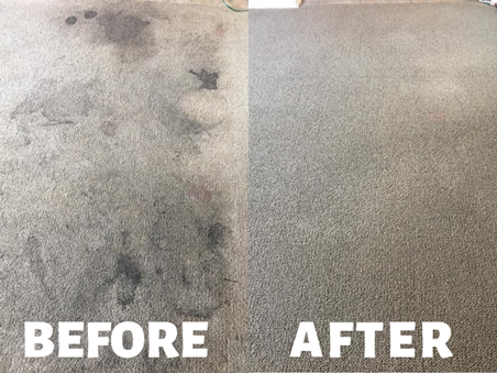 Carpet Cleaner Shampoo Solution