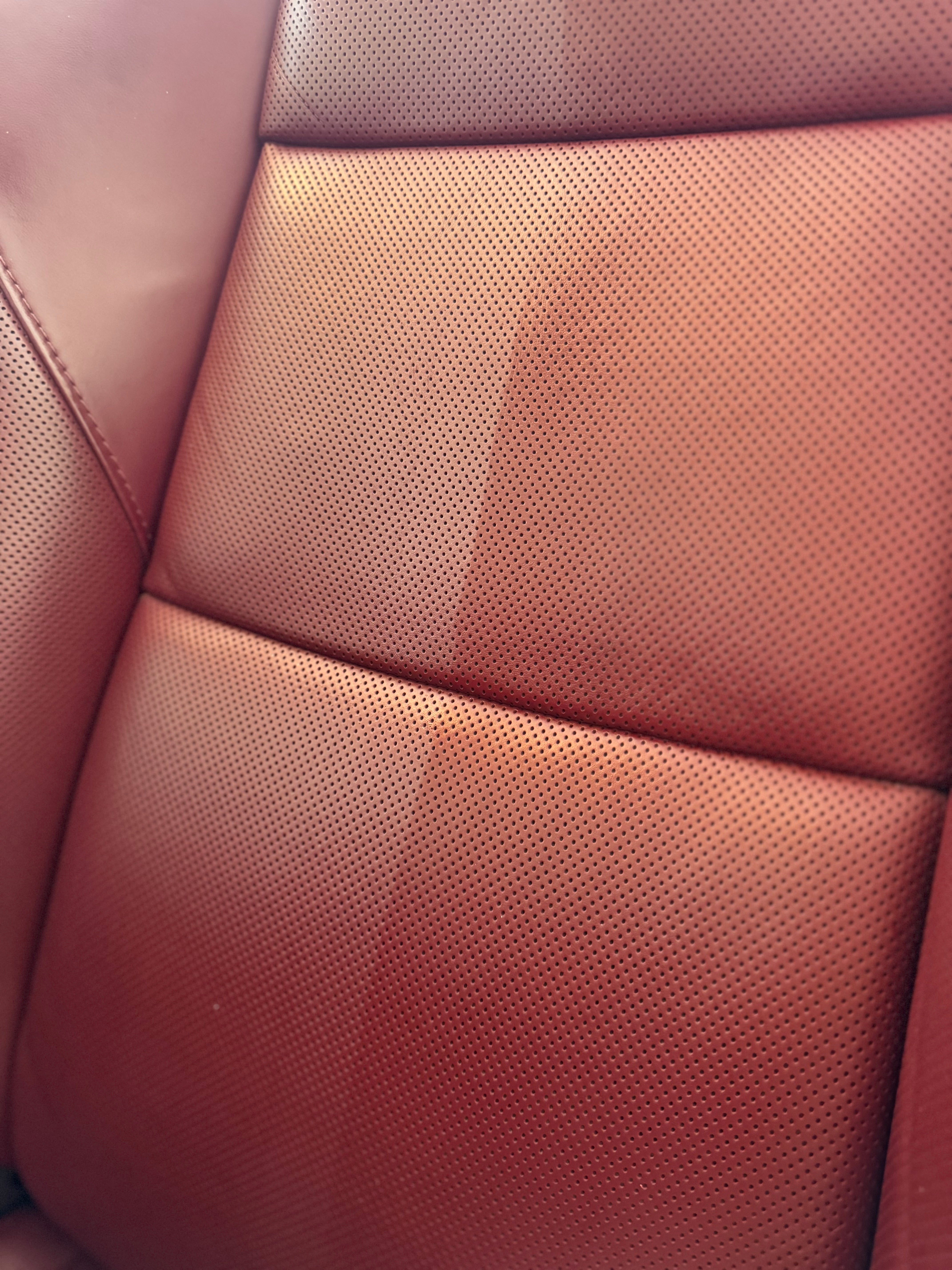 Leather Cleaner